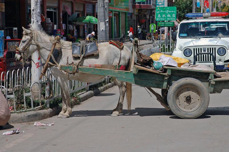 TIBET SEPT2008-386.JPG